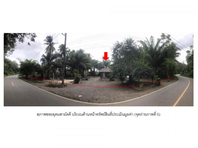 กำแพง ละงู สตูล