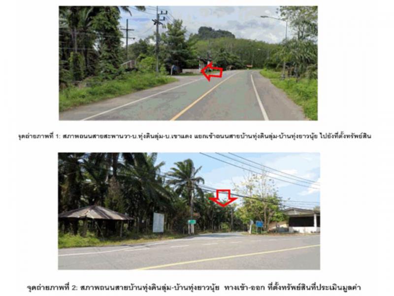 ป่าแก่บ่อหิน ทุ่งหว้า สตูล