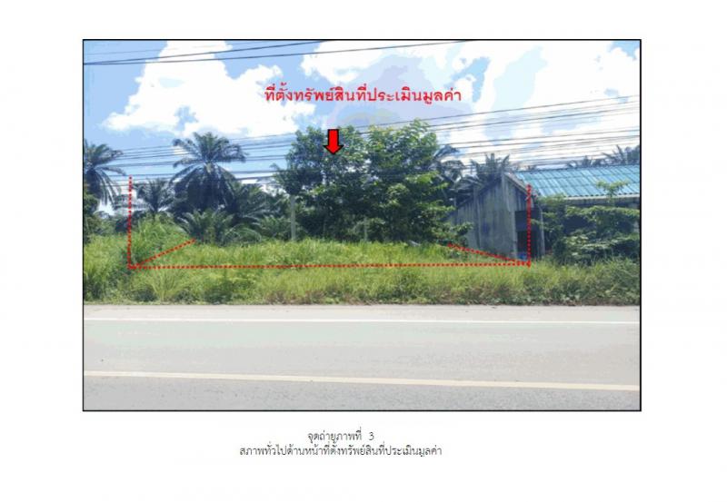 ปาล์มพัฒนา มะนัง สตูล - มะนัง สตูล