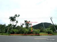 ขายที่ดินว่างเปล่า
